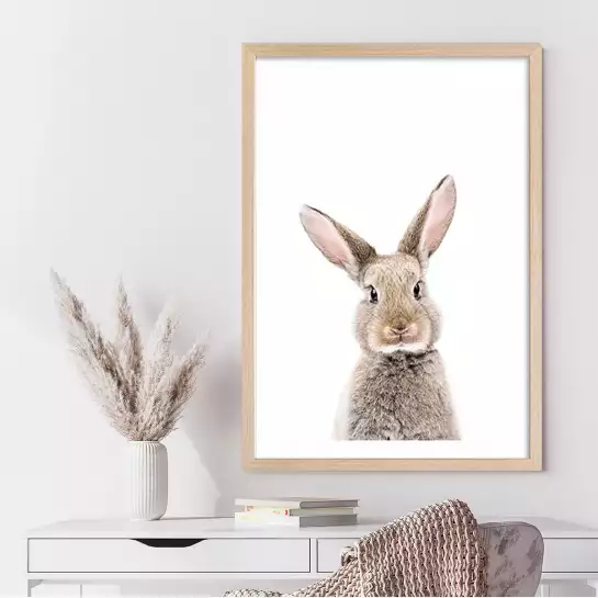 Baby rabbit - affiche animaux