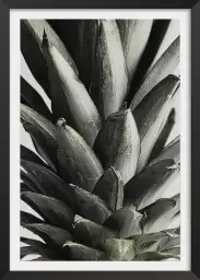 Ananas - tableau de fruits