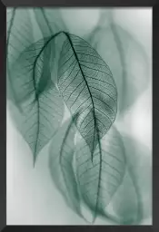 Leaf - affiche feuille