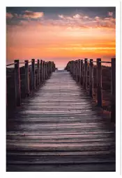 Le chemin des dunes - photo mer et plage