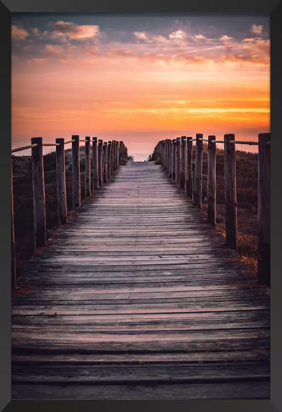 Le chemin des dunes - photo mer et plage