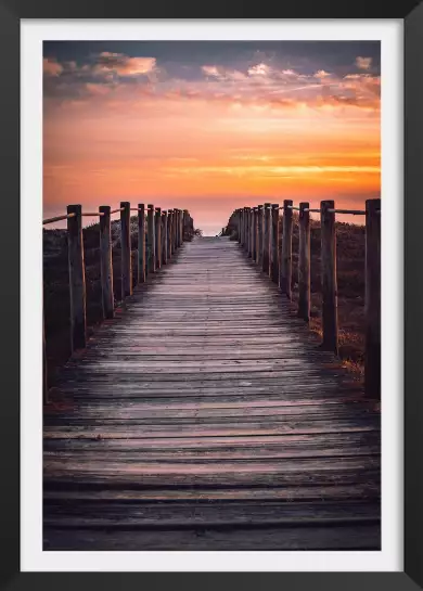 Le chemin des dunes - photo mer et plage