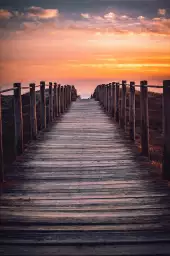 Le chemin des dunes - photo mer et plage