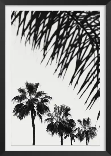 Palm six - affiche botanique palmier
