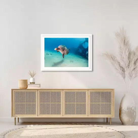 Dauphin - affiche mer
