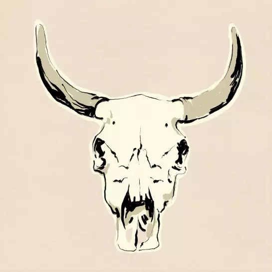 Crâne de bœuf - cadre animal