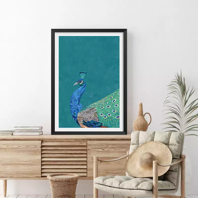 Paon turquoise - affiche oiseaux tropicaux