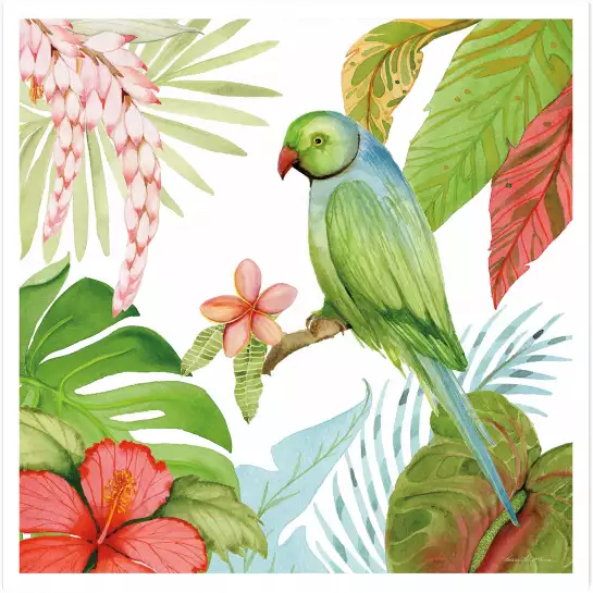 Trésors des tropiques - affiche perroquet