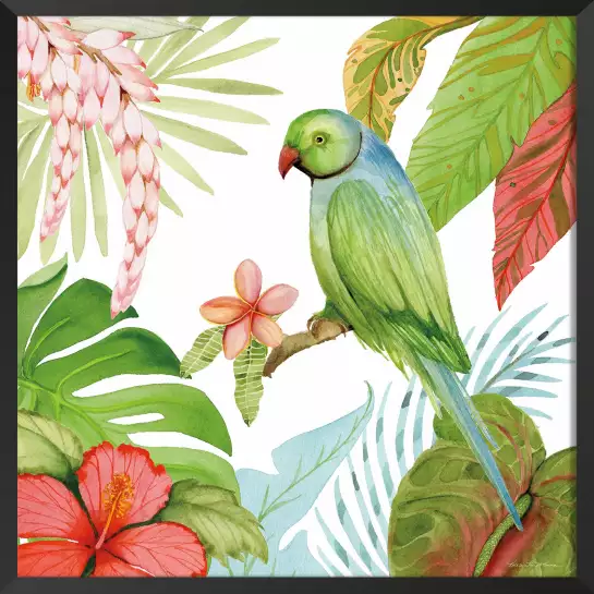 Trésors des tropiques - affiche perroquet
