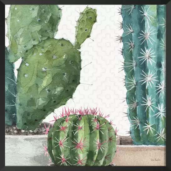 Cactaceae en pot - affiche cactus