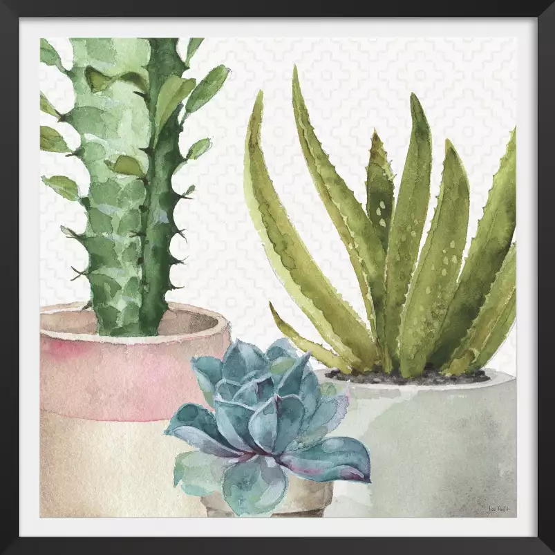 Succulentes en pot - affiche cactus