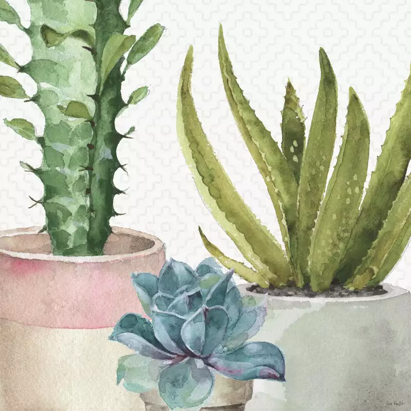 Succulentes en pot - affiche cactus