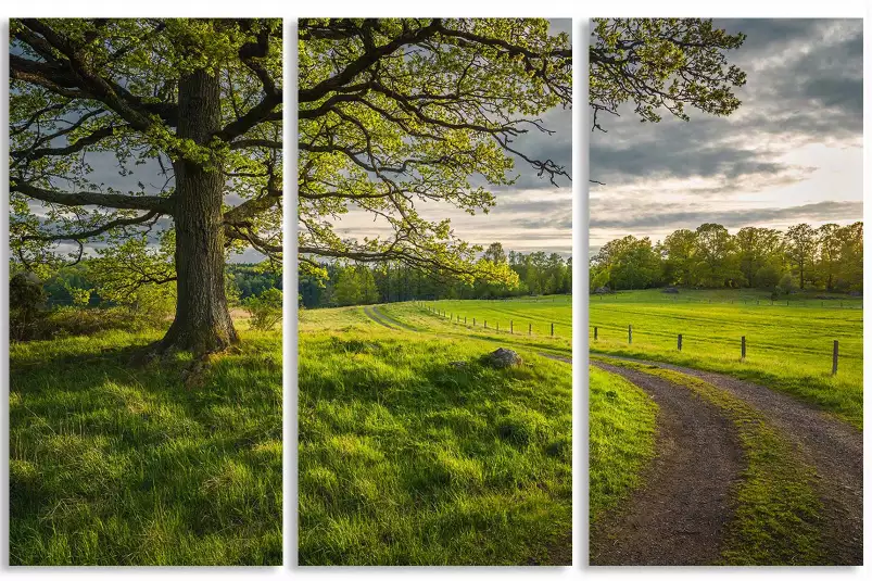 Chemin de campagne - paysage nature