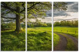 Chemin de campagne - paysage nature