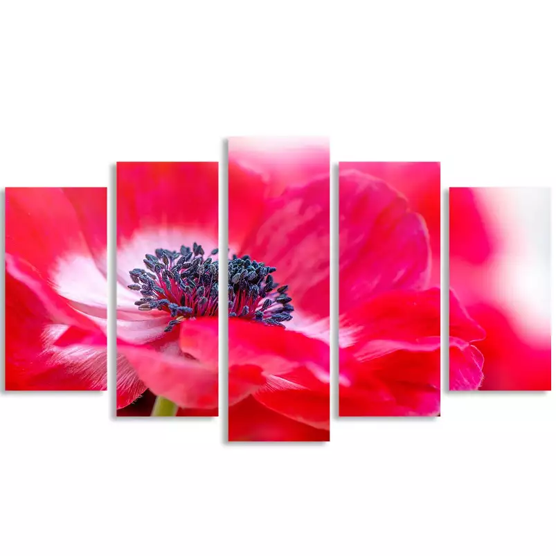 Tout simplement rouge - affiche fleurs