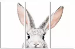 Lapin - affiche animaux chambre bebe