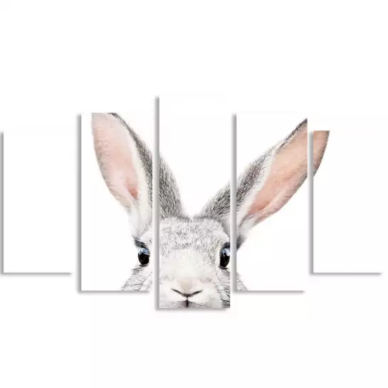 Lapin - affiche animaux chambre bebe