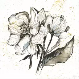 Pivoines à l'encre - tableau avec fleurs