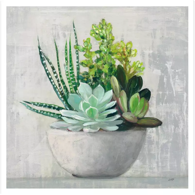 Succulente - affiche fleurs