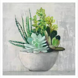 Succulente - affiche fleurs