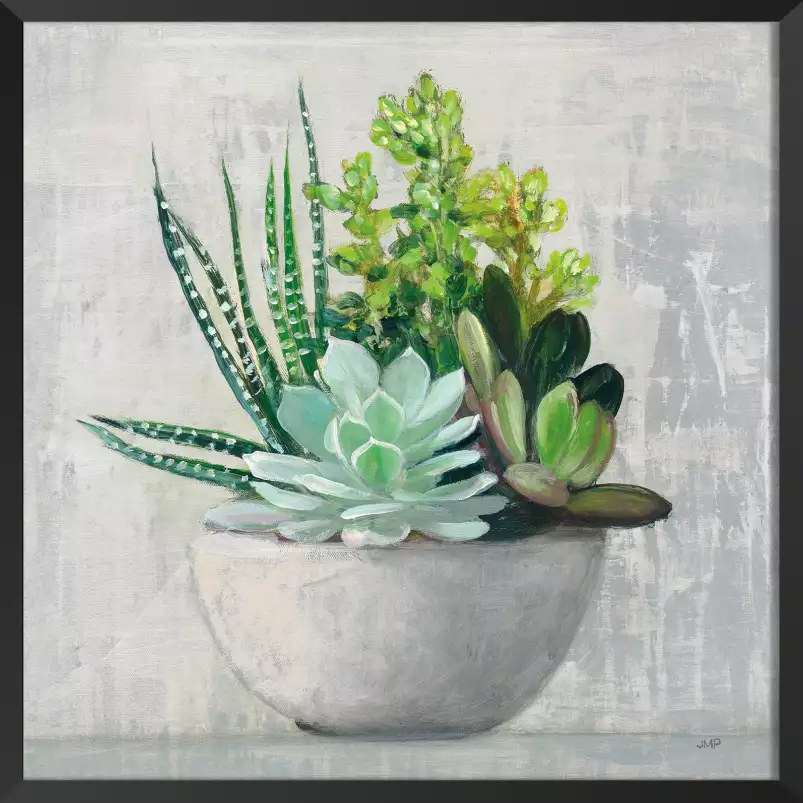 Succulente - affiche fleurs