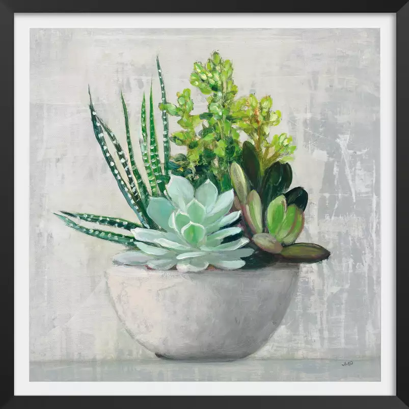 Succulente - affiche fleurs