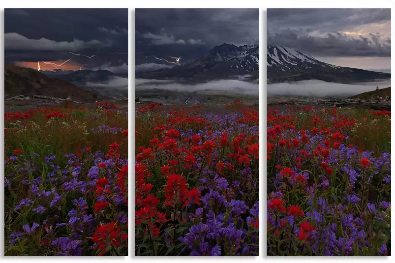 Le Mont Hélène - tableau avec coquelicot