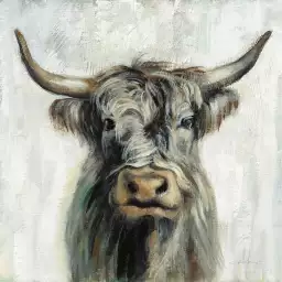 Vache highland aquarelle - peinture animaux