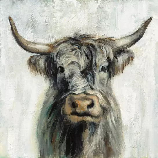 Vache highland aquarelle - peinture animaux