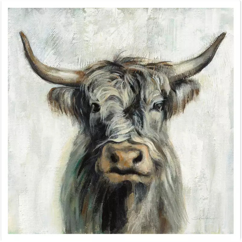 Vache highland aquarelle - peinture animaux