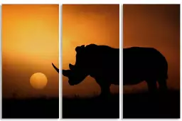 Rhino Sunrise - photos animale