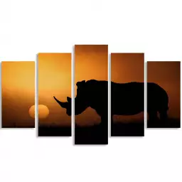 Rhino Sunrise - photos animale