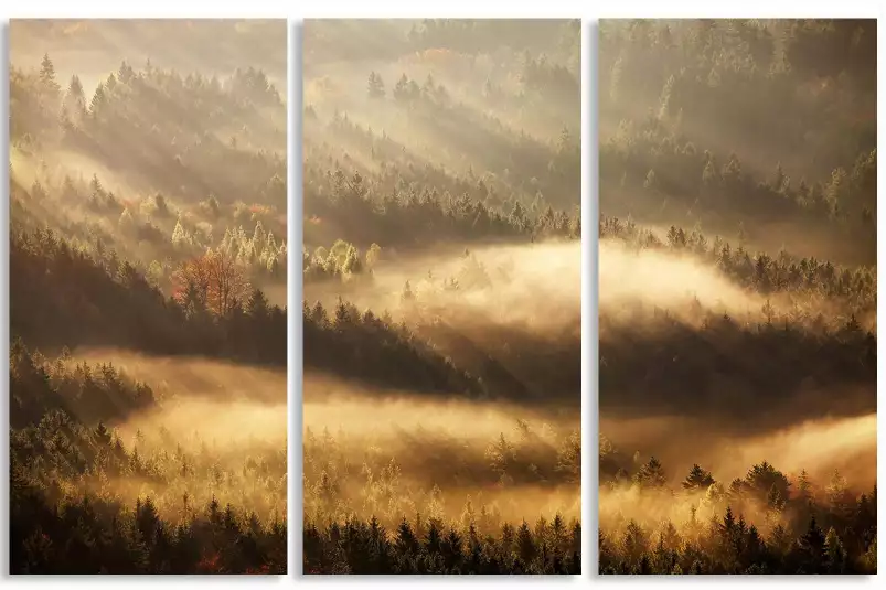 Rayons d'automne - poster paysage