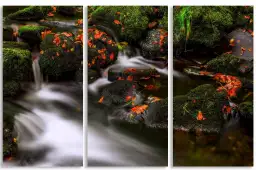 Mélodies d'automne - tableau paysage