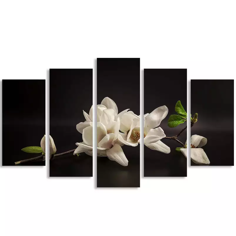 Magnolia - affiche fleurs