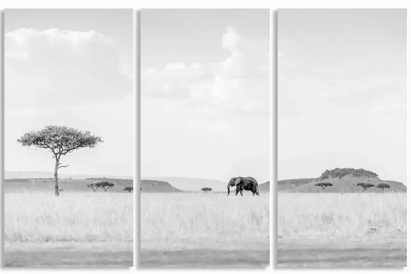 Savane High Key - photos noir et blanc célébrités