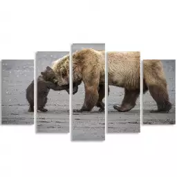 Un petit câlin d'ours - affiche animaux