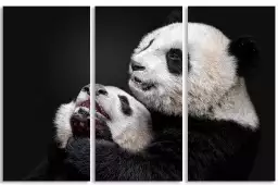 Pandas - affiche animaux