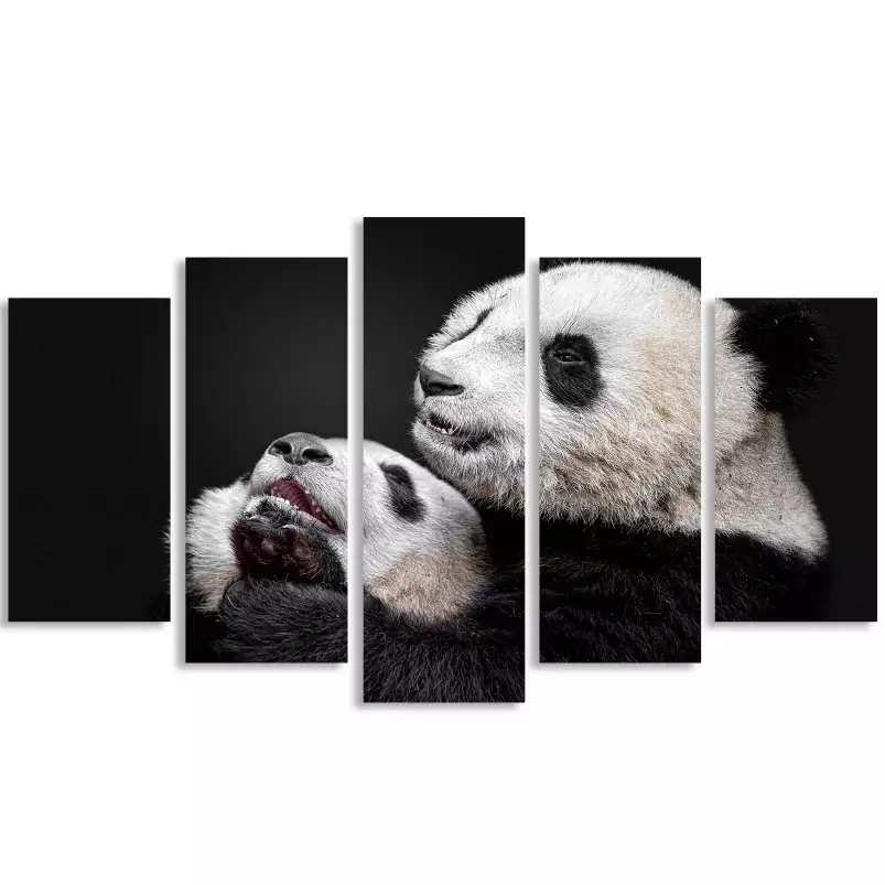 Pandas - affiche animaux