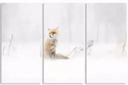 Renard dans la neige - affiche animaux