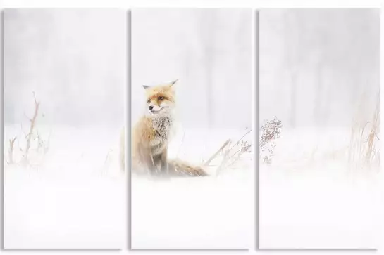 Renard dans la neige - affiche animaux