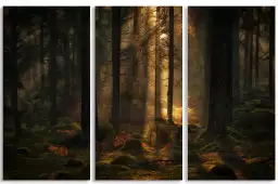 La lumière dans la forêt - affiche foret