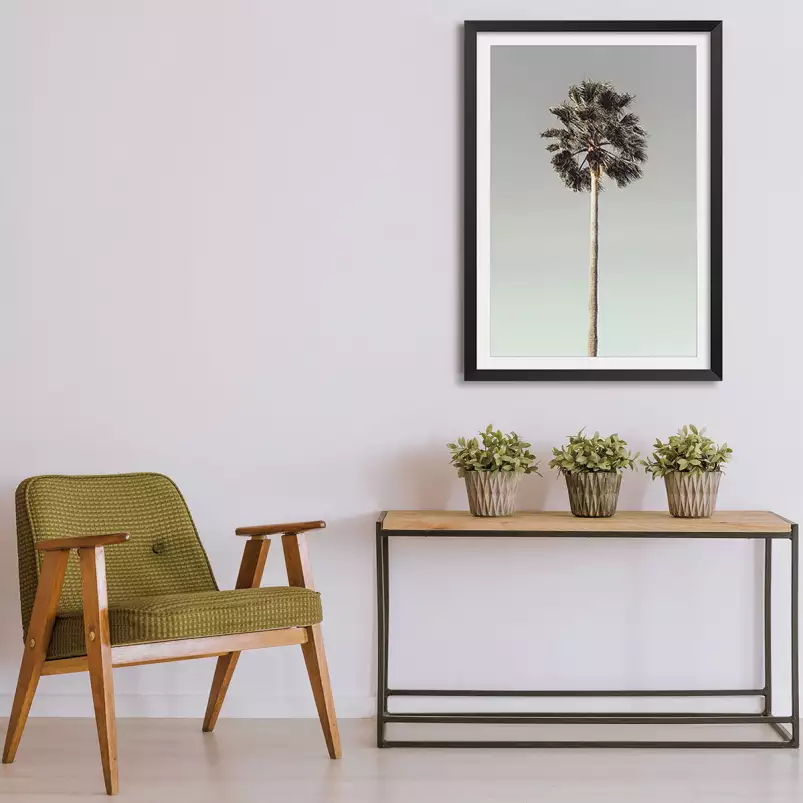 Soleil palmier - affiche botanique vintage