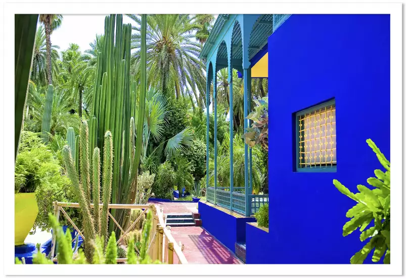 Photographie des Jardins de Majorelle vue sur les cactus 