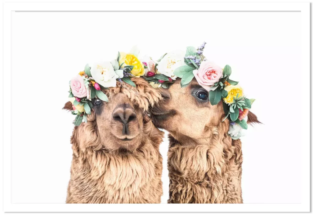 Photo style hippie de lamas avec une couronne de fleurs.